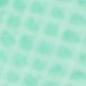 Spring Mint 