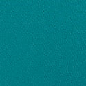 Parrot Blue 