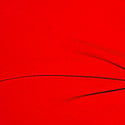 Red Pepper 