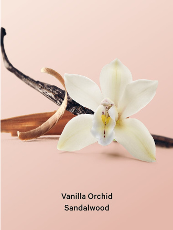 Vanilla Orchid & Sandalwood Hidratantni losion za telo 296 ml